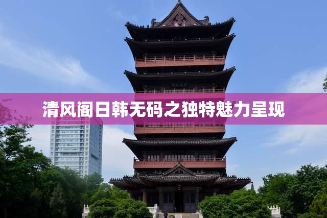 清风阁日韩无码之独特魅力呈现