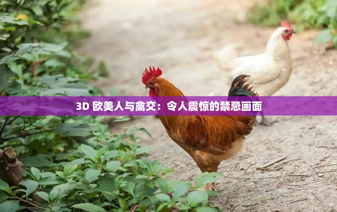 3D 欧美人与禽交：令人震惊的禁忌画面