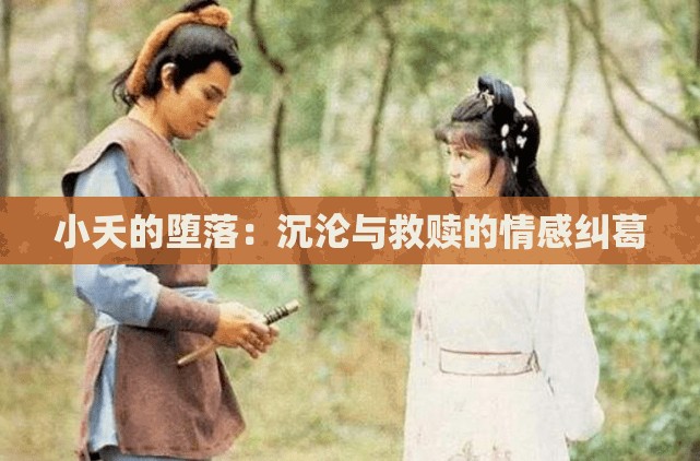小夭的堕落：沉沦与救赎的情感纠葛