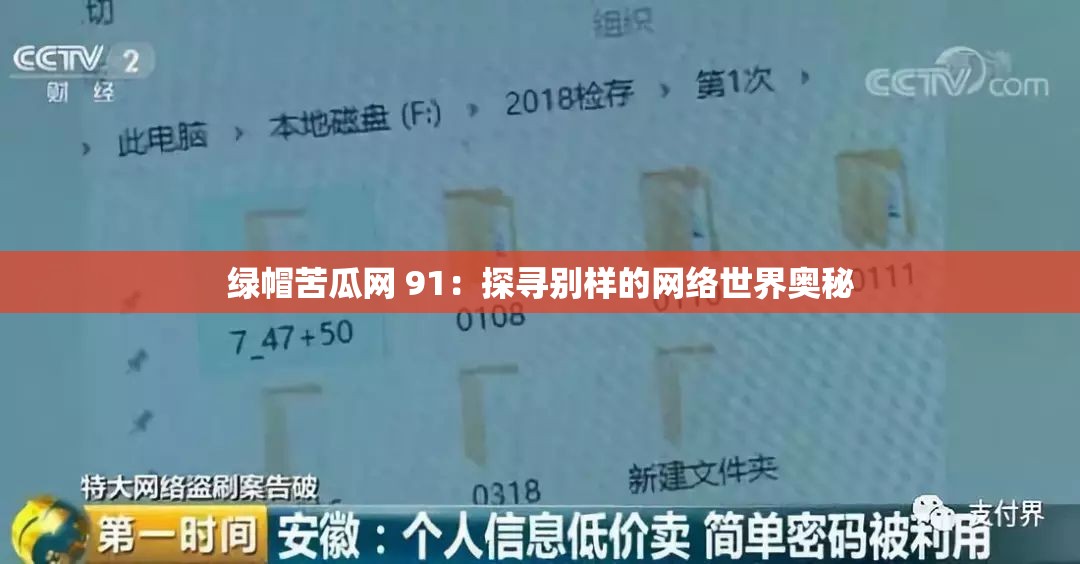 绿帽苦瓜网 91：探寻别样的网络世界奥秘