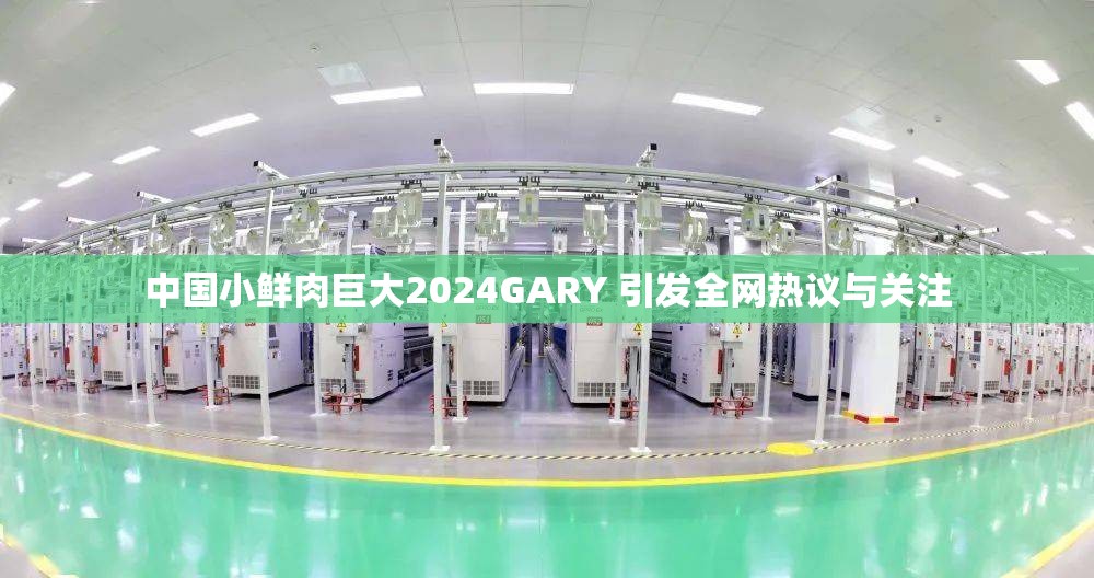 中国小鲜肉巨大2024GARY 引发全网热议与关注