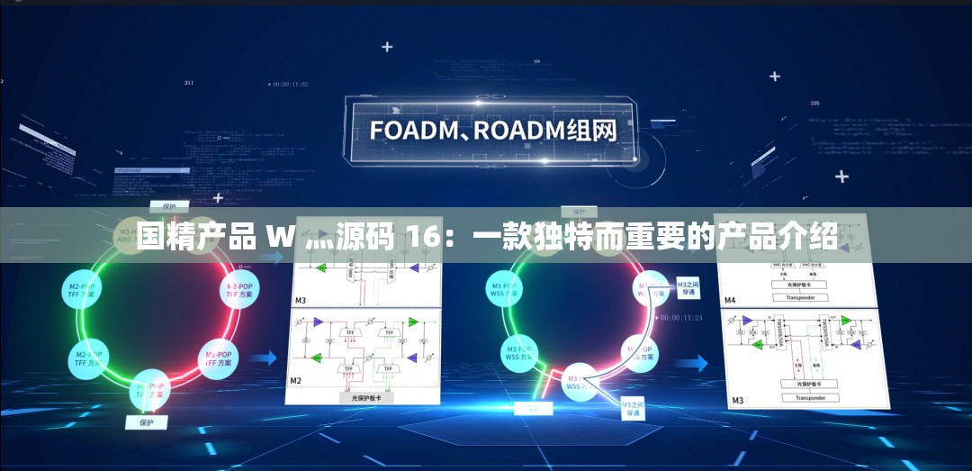 国精产品 W 灬源码 16：一款独特而重要的产品介绍