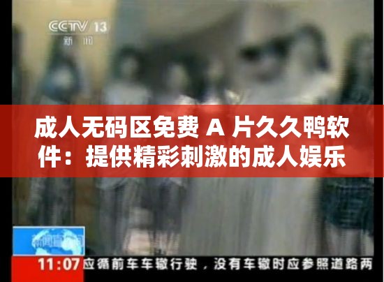 成人无码区免费 A 片久久鸭软件：提供精彩刺激的成人娱乐体验