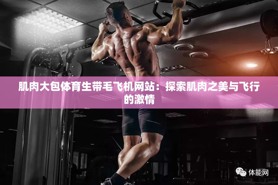 肌肉大包体育生带毛飞机网站：探索肌肉之美与飞行的激情
