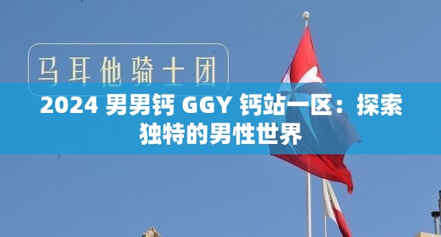 2024 男男钙 GGY 钙站一区：探索独特的男性世界