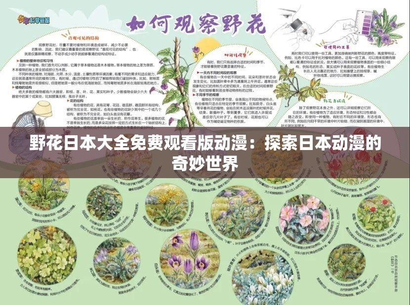 野花日本大全免费观看版动漫：探索日本动漫的奇妙世界