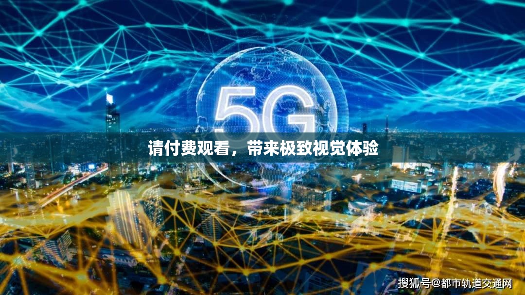 请付费观看，带来极致视觉体验