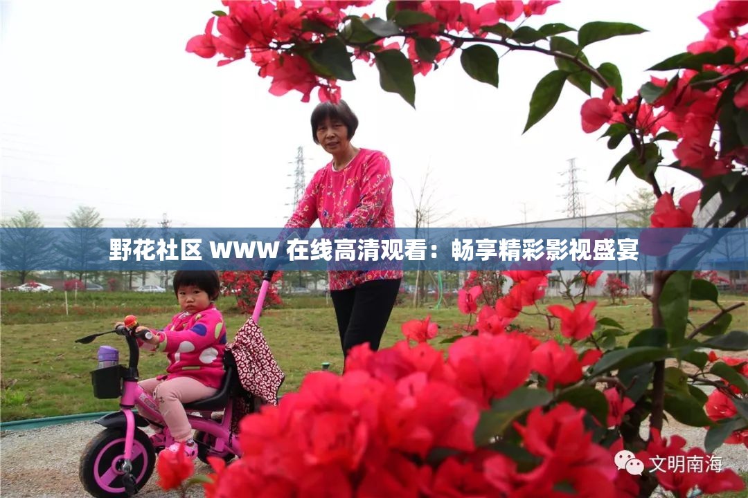 野花社区 WWW 在线高清观看：畅享精彩影视盛宴