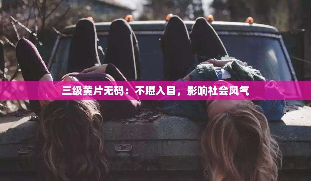 三级黄片无码：不堪入目，影响社会风气