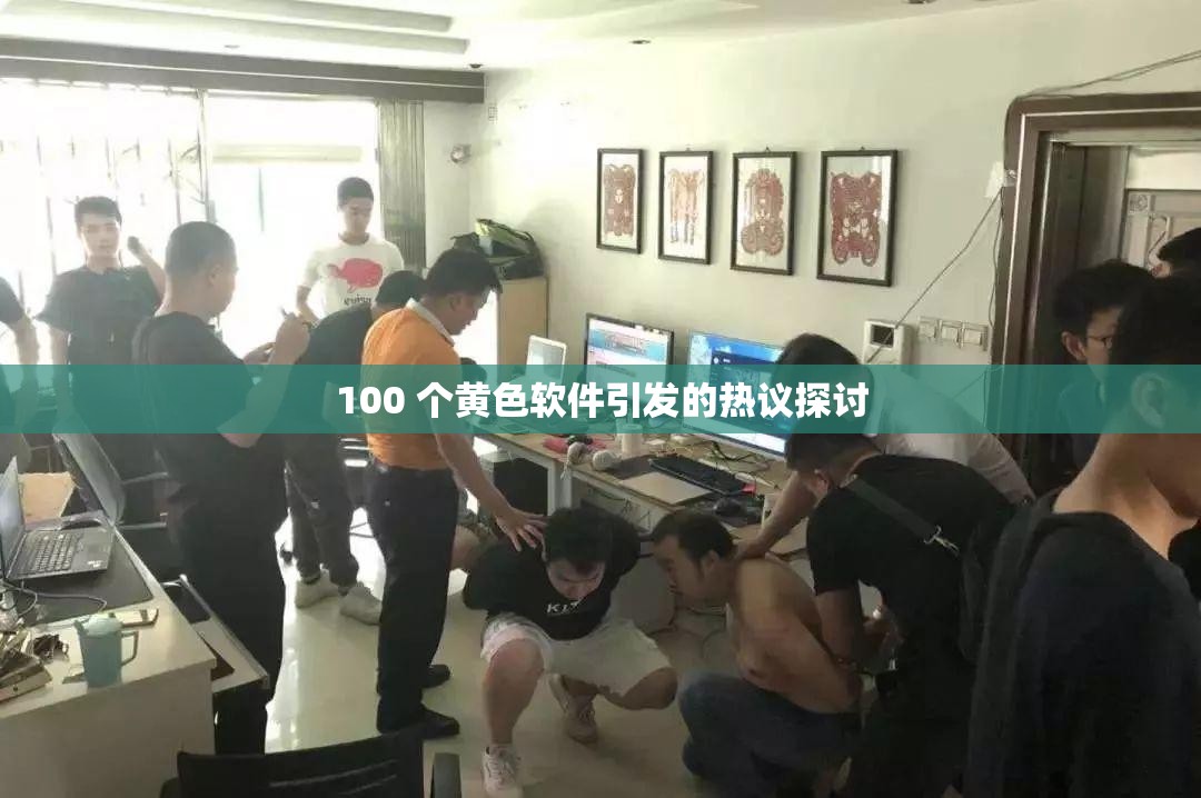 100 个黄色软件引发的热议探讨