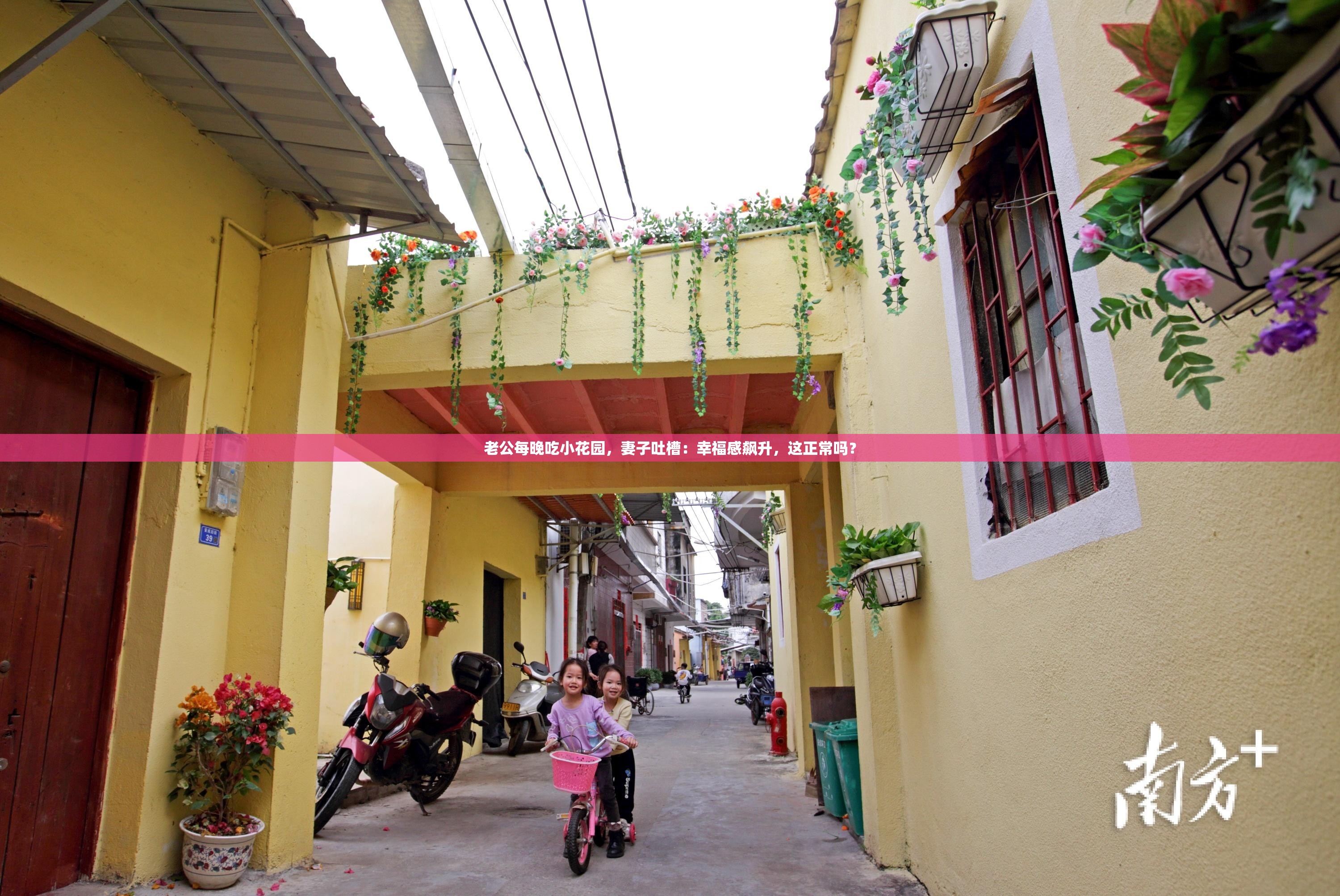 老公每晚吃小花园，妻子吐槽：幸福感飙升，这正常吗？