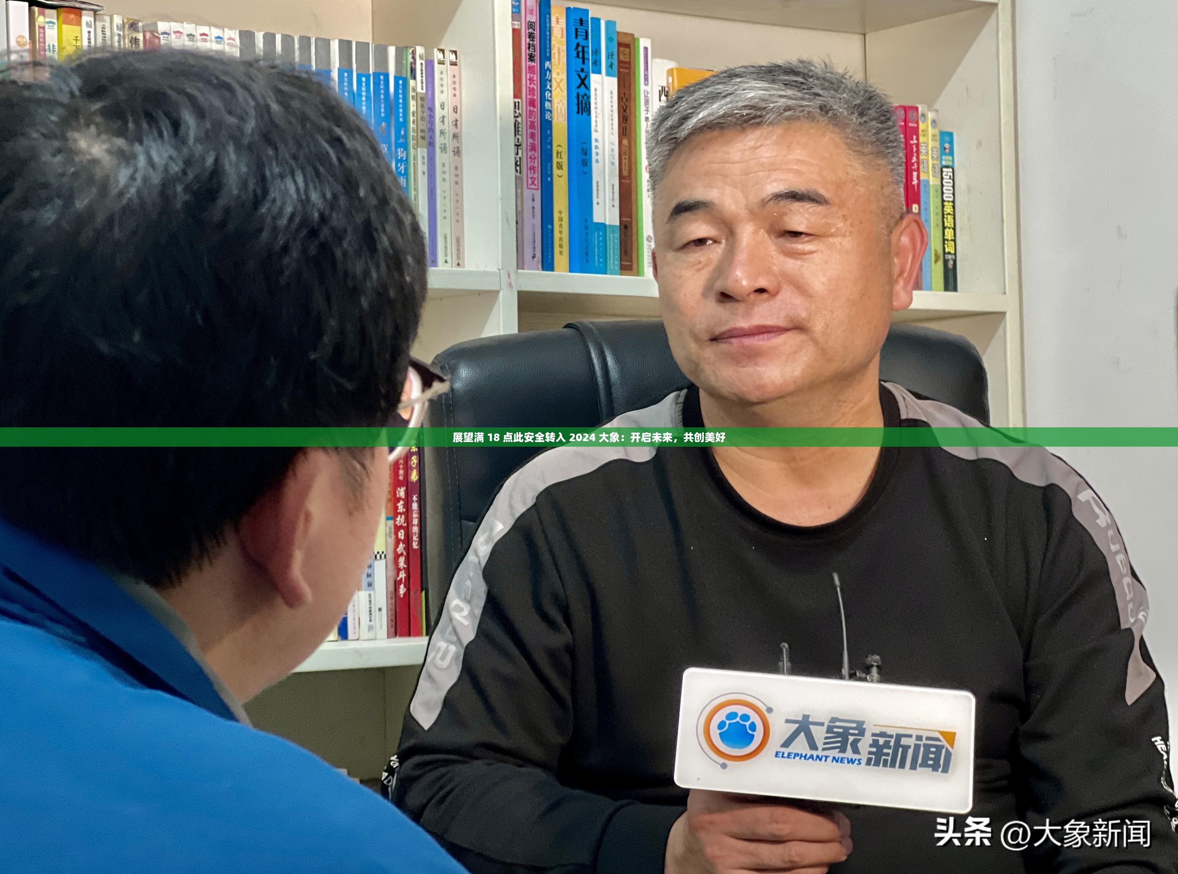 展望满 18 点此安全转入 2024 大象：开启未来，共创美好