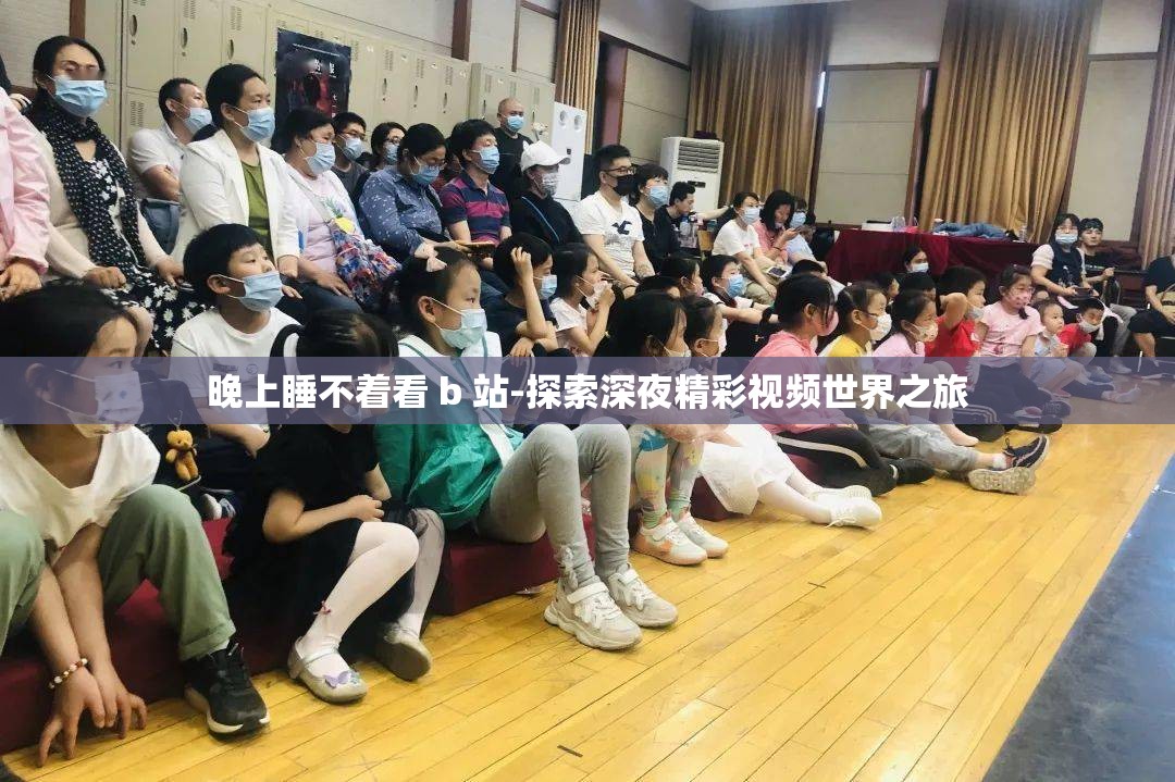 晚上睡不着看 b 站-探索深夜精彩视频世界之旅