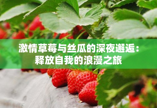激情草莓与丝瓜的深夜邂逅:释放自我的浪漫之旅 激情草莓与丝瓜的深夜邂逅:释放自我的浪漫之旅