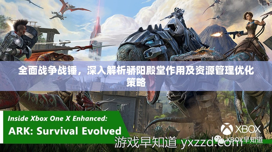 全面战争战锤，深入解析骄阳殿堂作用及资源管理优化策略