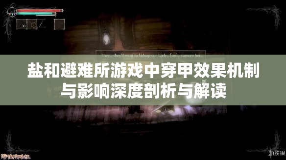 盐和避难所游戏中穿甲效果机制与影响深度剖析与解读