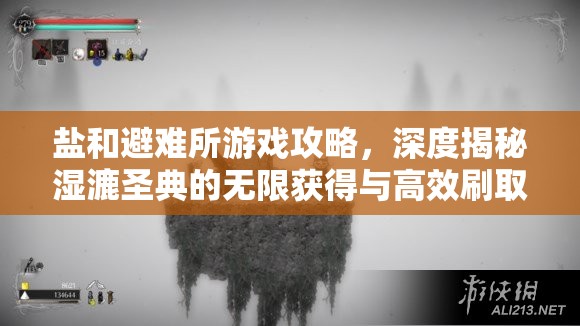 盐和避难所游戏攻略，深度揭秘湿漉圣典的无限获得与高效刷取技巧