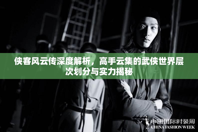 侠客风云传深度解析，高手云集的武侠世界层次划分与实力揭秘