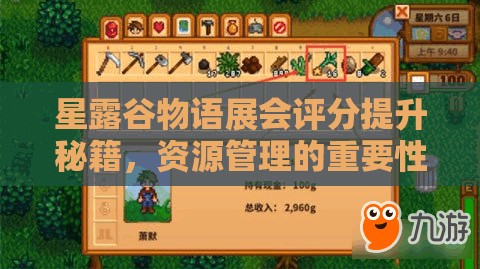 星露谷物语展会评分提升秘籍，资源管理的重要性及高效实施策略