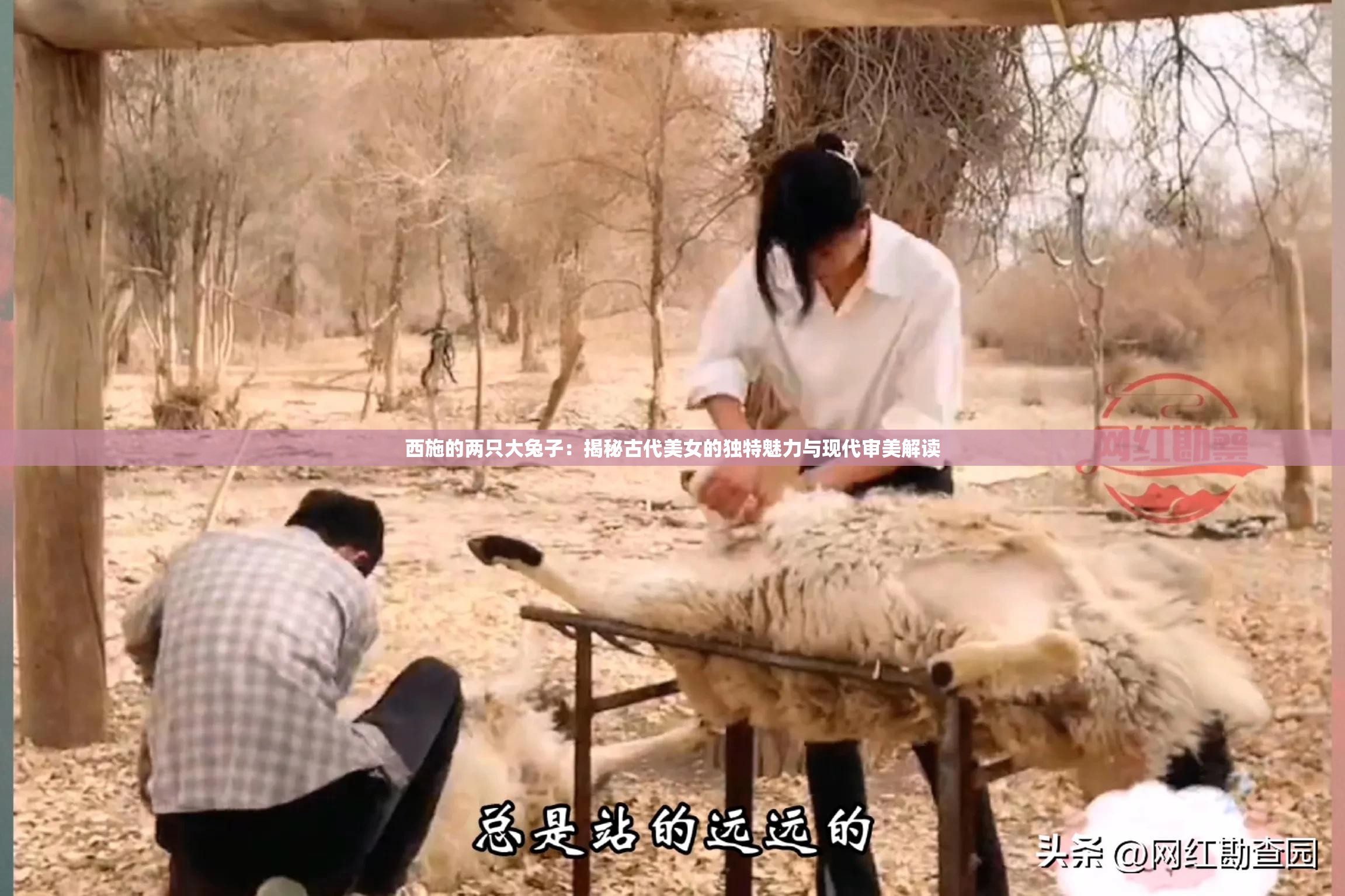 西施的两只大兔子：揭秘古代美女的独特魅力与现代审美解读