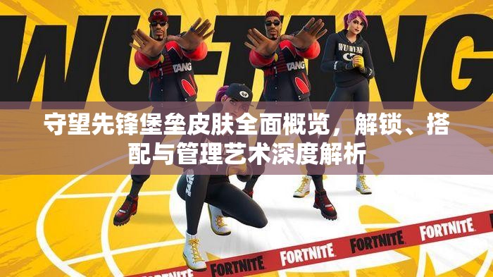 守望先锋堡垒皮肤全面概览，解锁、搭配与管理艺术深度解析