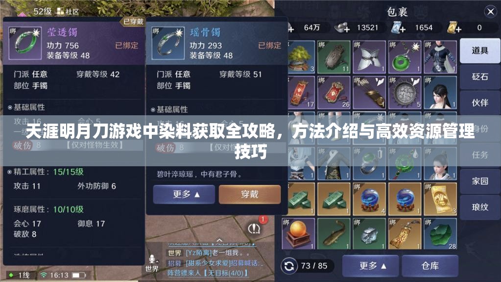 天涯明月刀游戏中染料获取全攻略，方法介绍与高效资源管理技巧