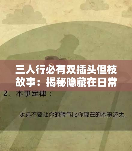 三人行必有双插头但枝故事：揭秘隐藏在日常生活中的智慧与启示