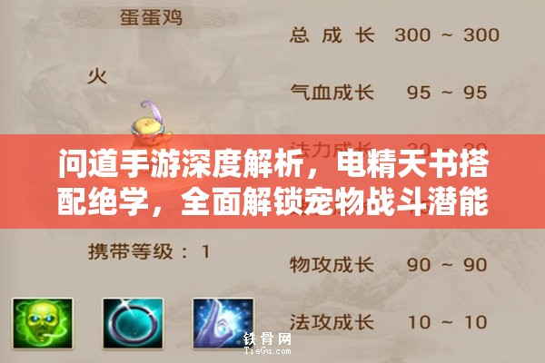 问道手游深度解析，电精天书搭配绝学，全面解锁宠物战斗潜能新境界
