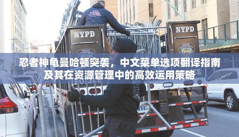 忍者神龟曼哈顿突袭，中文菜单选项翻译指南及其在资源管理中的高效运用策略