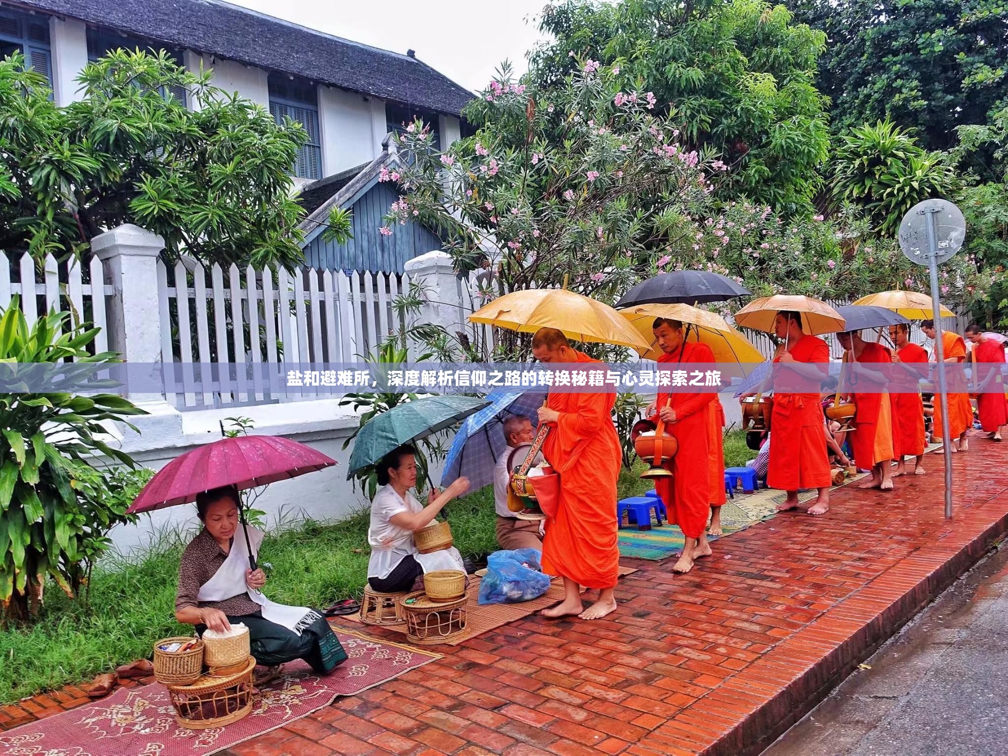 盐和避难所，深度解析信仰之路的转换秘籍与心灵探索之旅