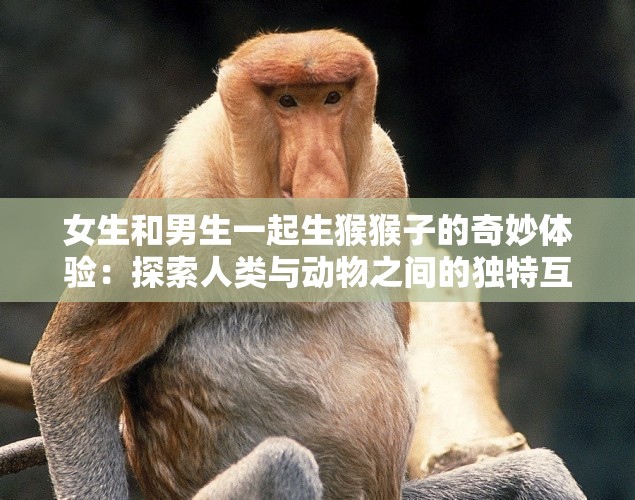 女生和男生一起生猴猴子的奇妙体验：探索人类与动物之间的独特互动故事