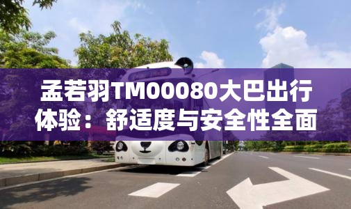 孟若羽TM00080大巴出行体验：舒适度与安全性全面解析，乘客真实反馈大公开