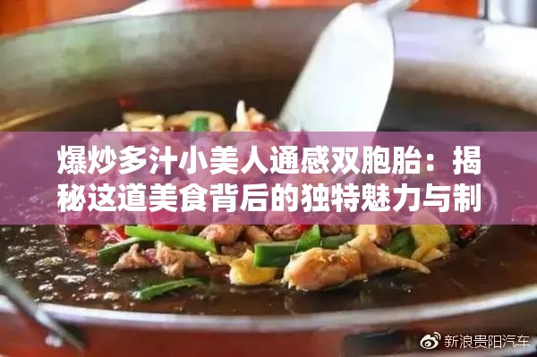 爆炒多汁小美人通感双胞胎：揭秘这道美食背后的独特魅力与制作技巧