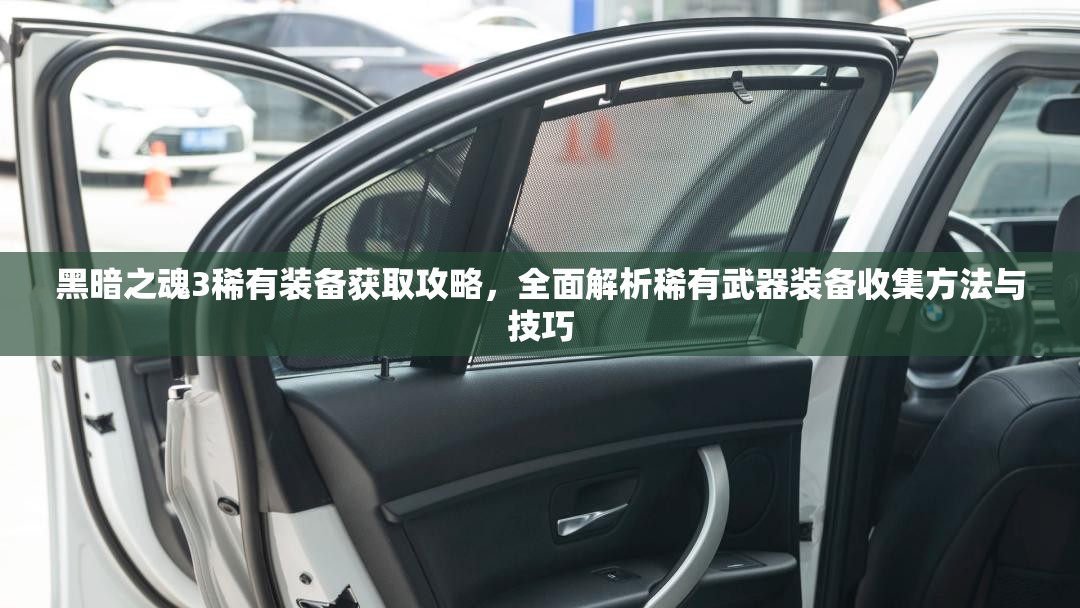 黑暗之魂3稀有装备获取攻略，全面解析稀有武器装备收集方法与技巧