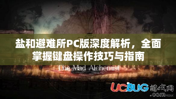 盐和避难所PC版深度解析，全面掌握键盘操作技巧与指南