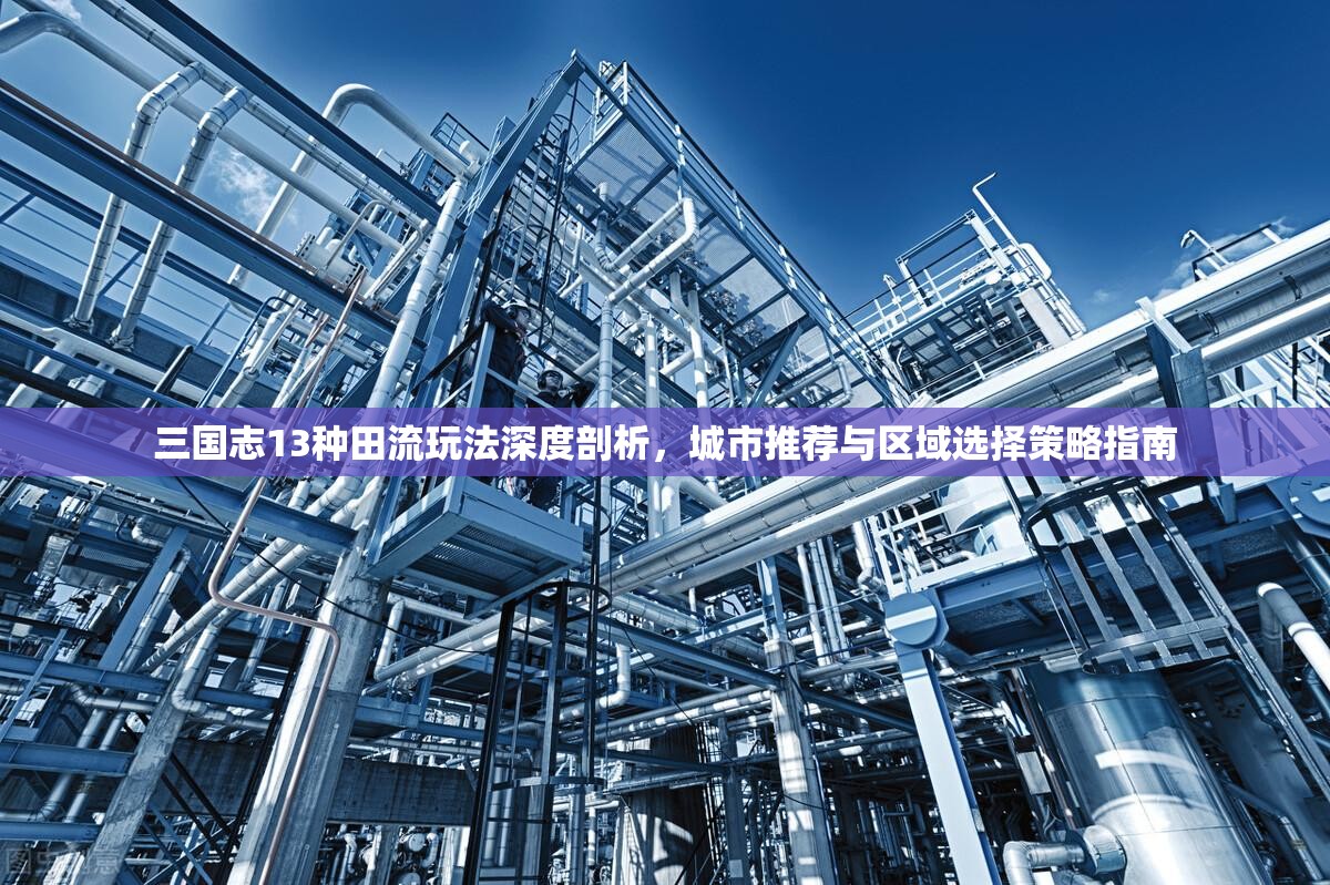 三国志13种田流玩法深度剖析，城市推荐与区域选择策略指南