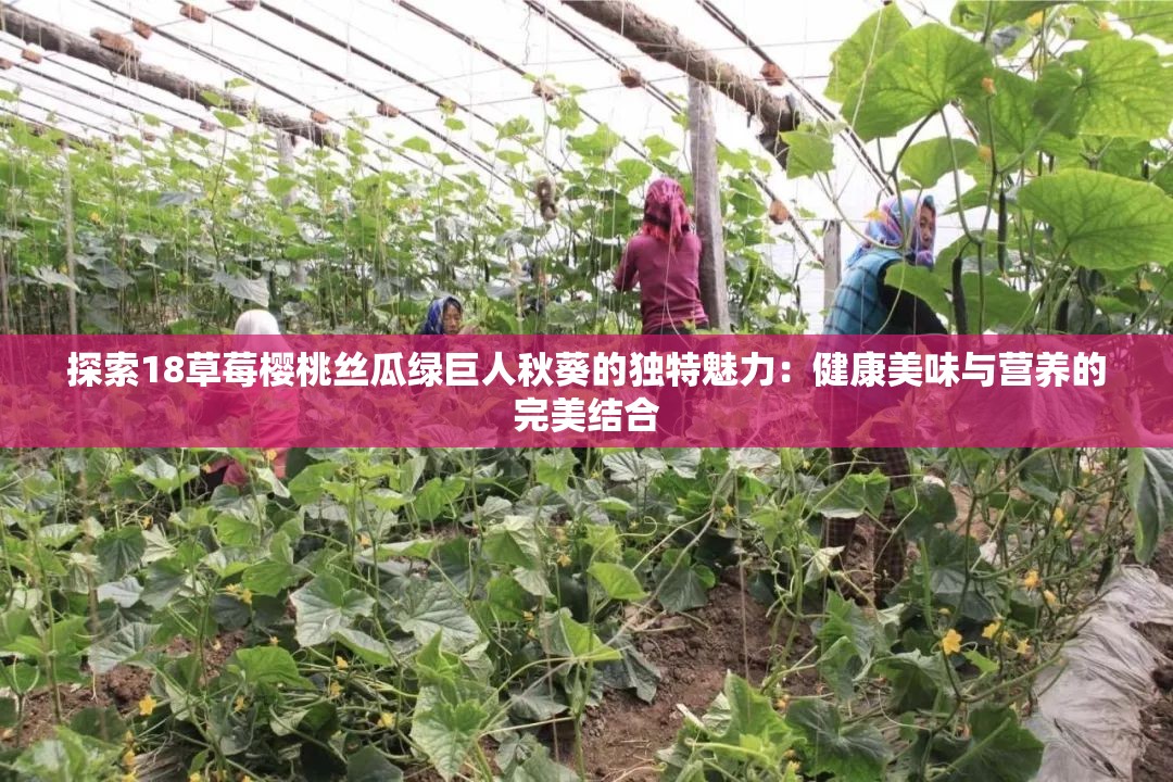 探索18草莓樱桃丝瓜绿巨人秋葵的独特魅力：健康美味与营养的完美结合