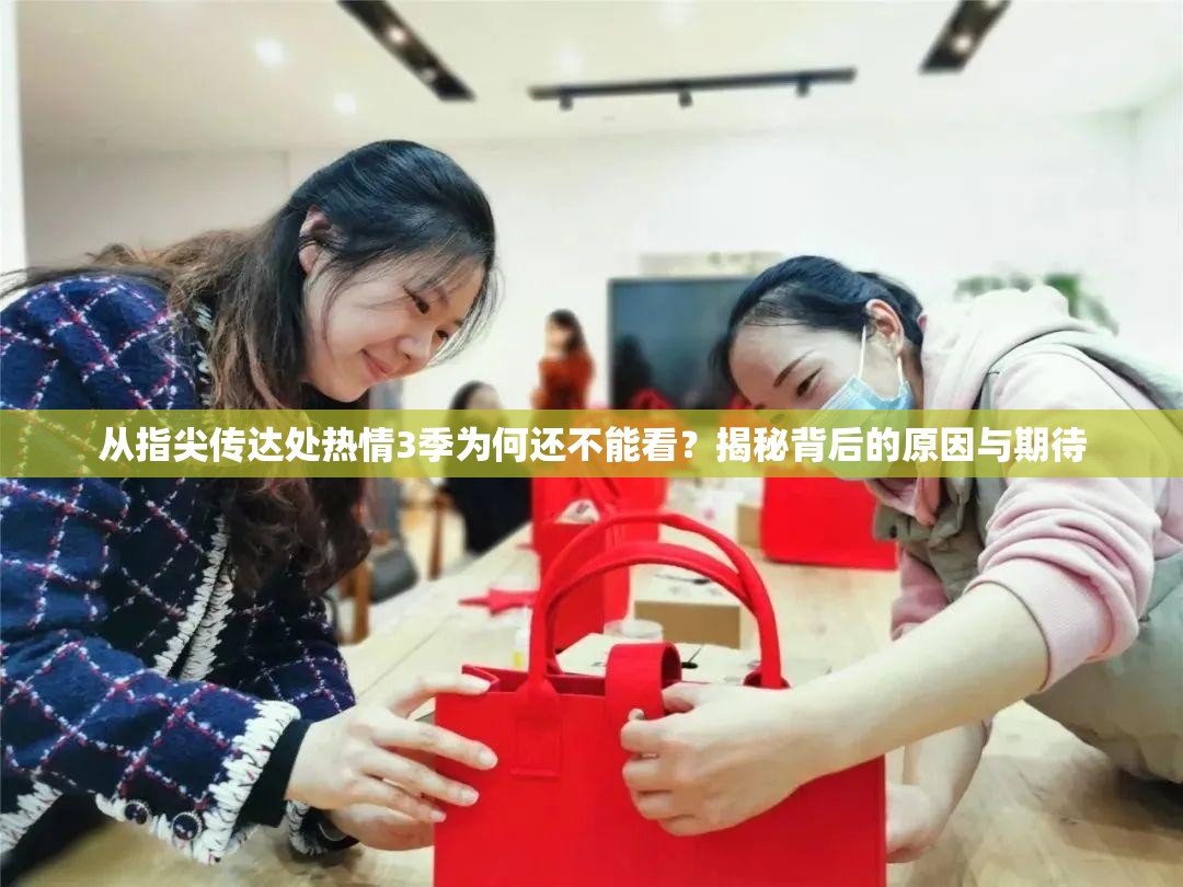 从指尖传达处热情3季为何还不能看？揭秘背后的原因与期待