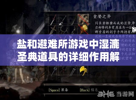 盐和避难所游戏中湿漉圣典道具的详细作用解析与实用攻略