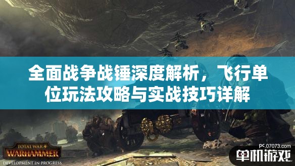 全面战争战锤深度解析，飞行单位玩法攻略与实战技巧详解