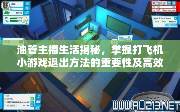 油管主播生活揭秘，掌握打飞机小游戏退出方法的重要性及高效资源管理策略