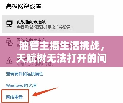 油管主播生活挑战，天赋树无法打开的问题解决策略及其在资源管理中的重要性