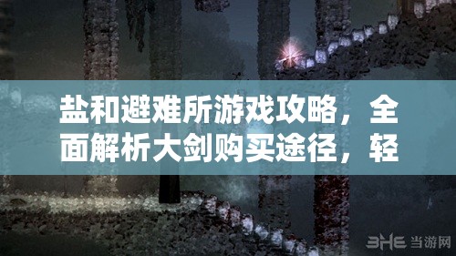 盐和避难所游戏攻略，全面解析大剑购买途径，轻松解锁你的终极近战利器
