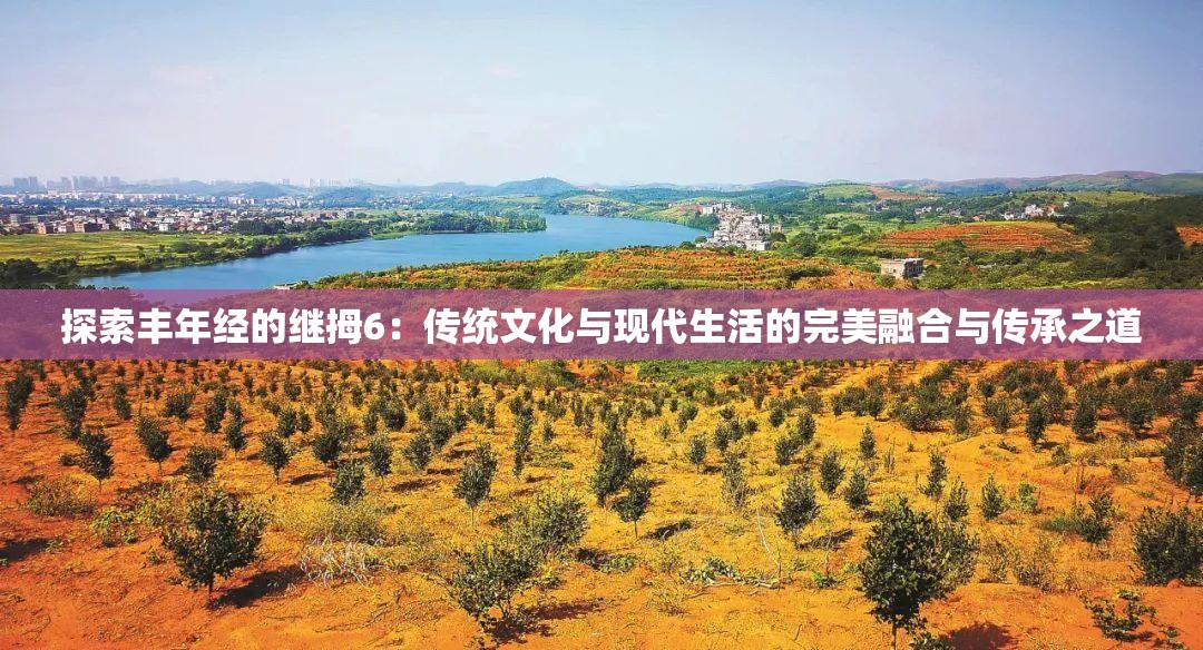 探索丰年经的继拇6：传统文化与现代生活的完美融合与传承之道