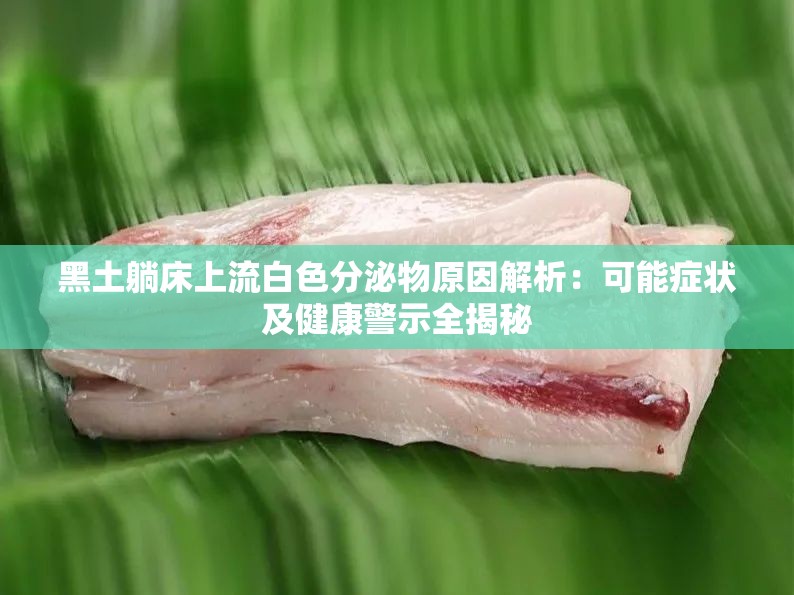 黑土躺床上流白色分泌物原因解析：可能症状及健康警示全揭秘