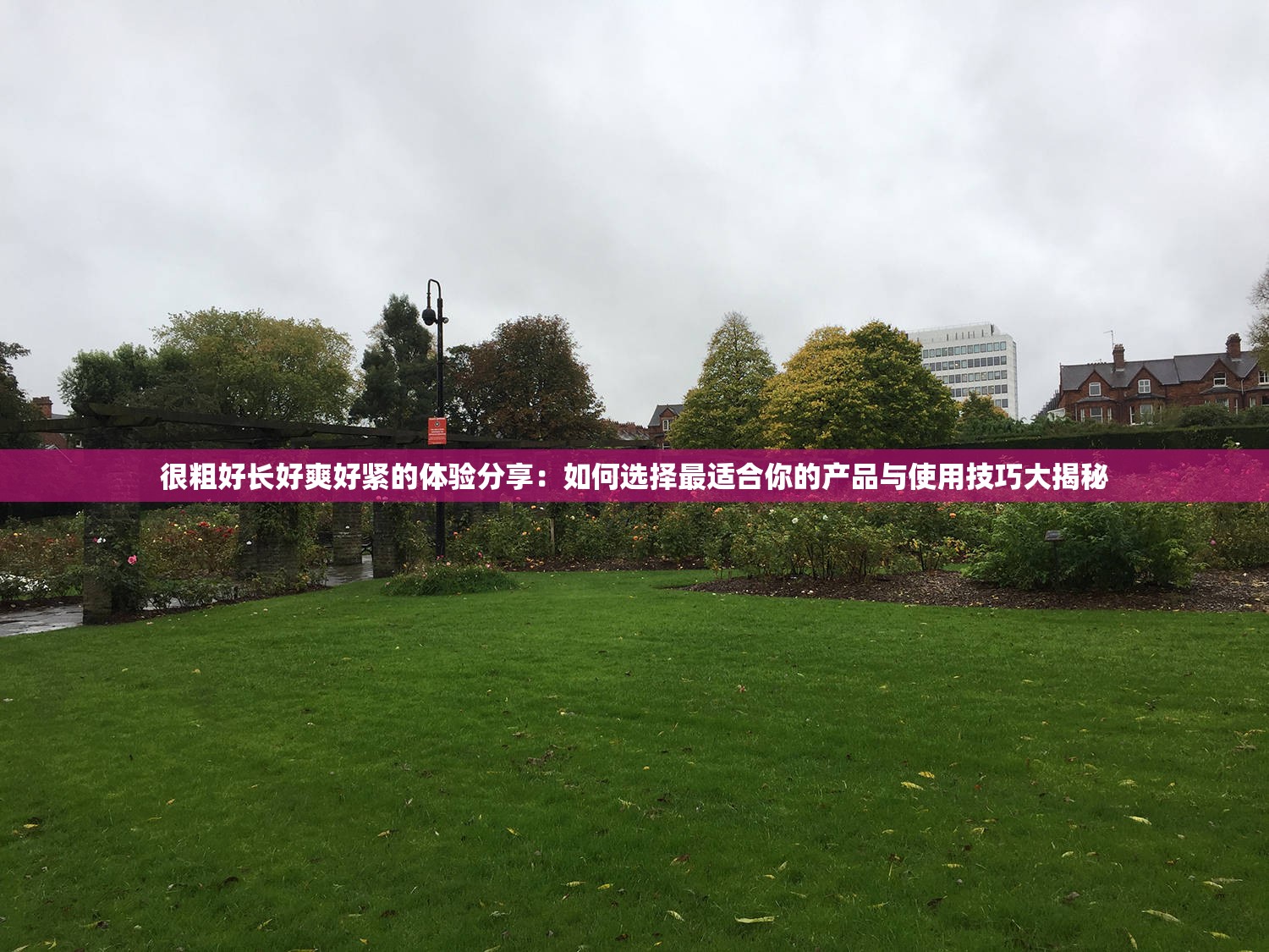 很粗好长好爽好紧的体验分享：如何选择最适合你的产品与使用技巧大揭秘