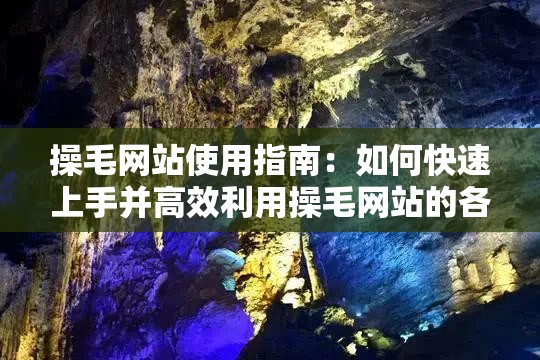操毛网站使用指南：如何快速上手并高效利用操毛网站的各项功能与资源？