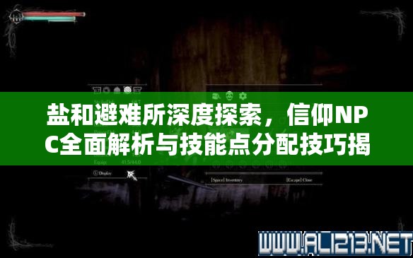 盐和避难所深度探索，信仰NPC全面解析与技能点分配技巧揭秘
