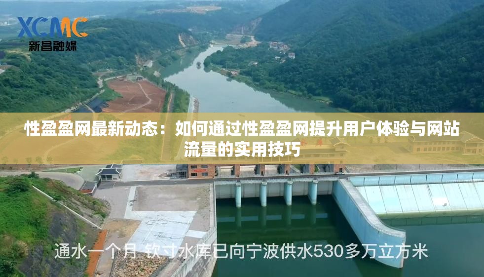 性盈盈网最新动态：如何通过性盈盈网提升用户体验与网站流量的实用技巧