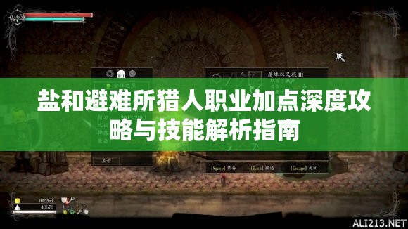 盐和避难所猎人职业加点深度攻略与技能解析指南